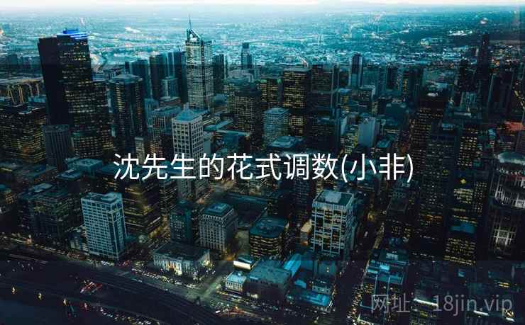 沈先生的花式调数(小非) 沈先生的花式调数(小非)