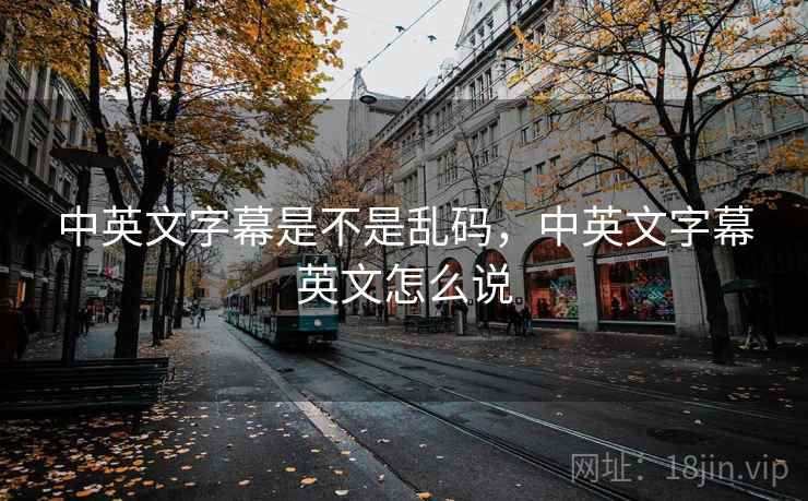 中英文字幕是不是乱码，中英文字幕英文怎么说