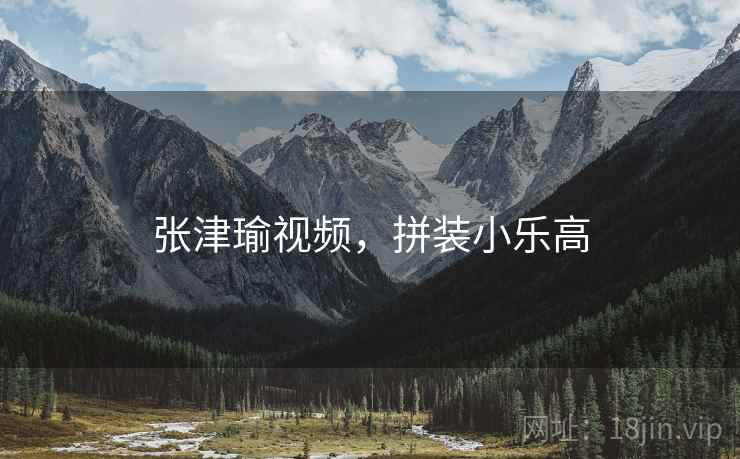 张津瑜视频，拼装小乐高