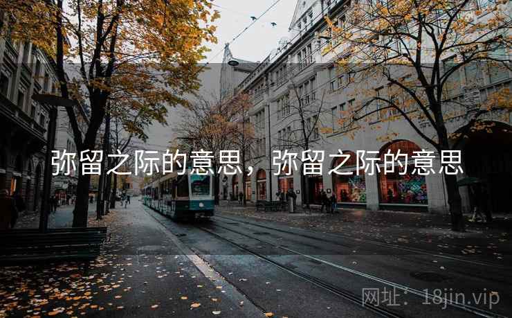 弥留之际的意思，弥留之际的意思