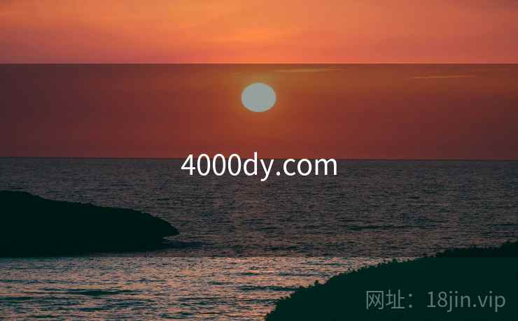 4000dy.com