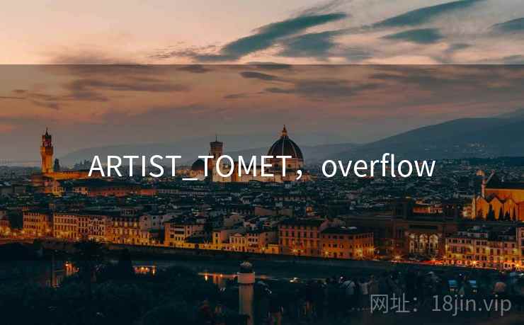 ARTIST_TOMET，overflow