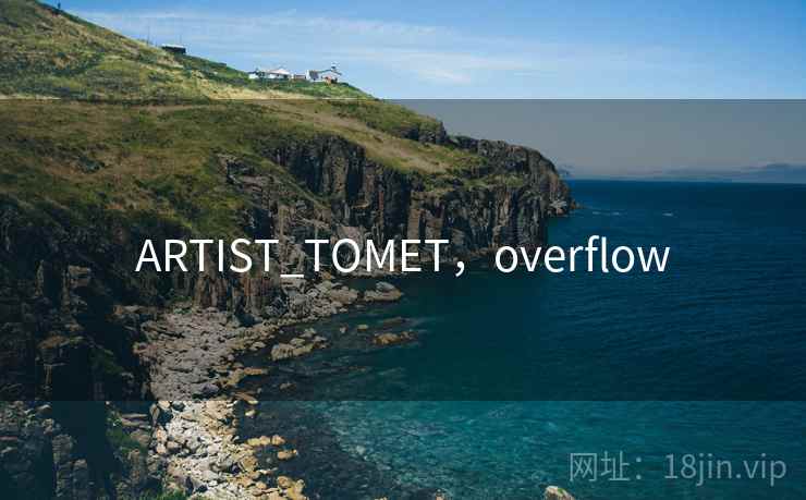 ARTIST_TOMET，overflow