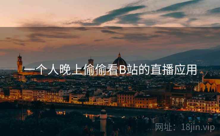 一个人晚上偷偷看B站的直播应用