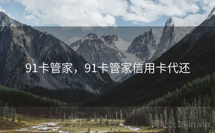 91卡管家，91卡管家信用卡代还