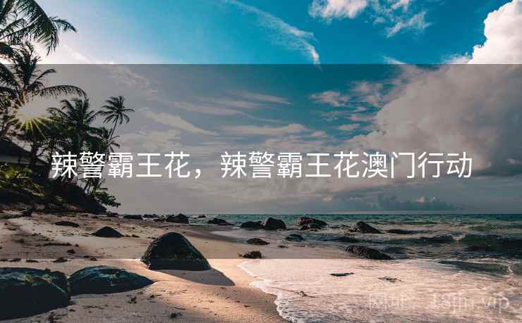 辣警霸王花，辣警霸王花澳门行动