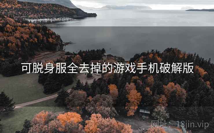 可脱身服全去掉的游戏手机破解版