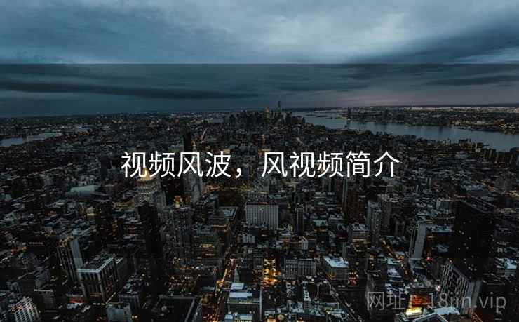 视频风波，风视频简介