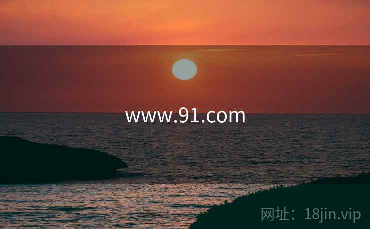 www.91.com